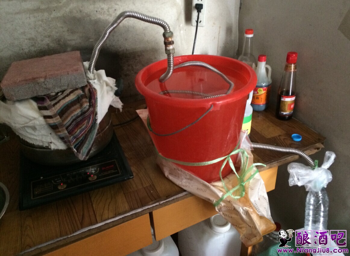成功自制蒸馏器(直播酿酒) - 自酿白酒交流 - 酿酒吧 - 自酿酒爱好者